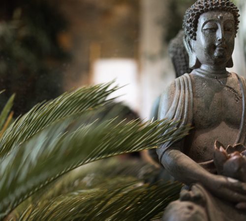 still life concept view of green houseplant stand 2026 01 09 06 24 07 utc